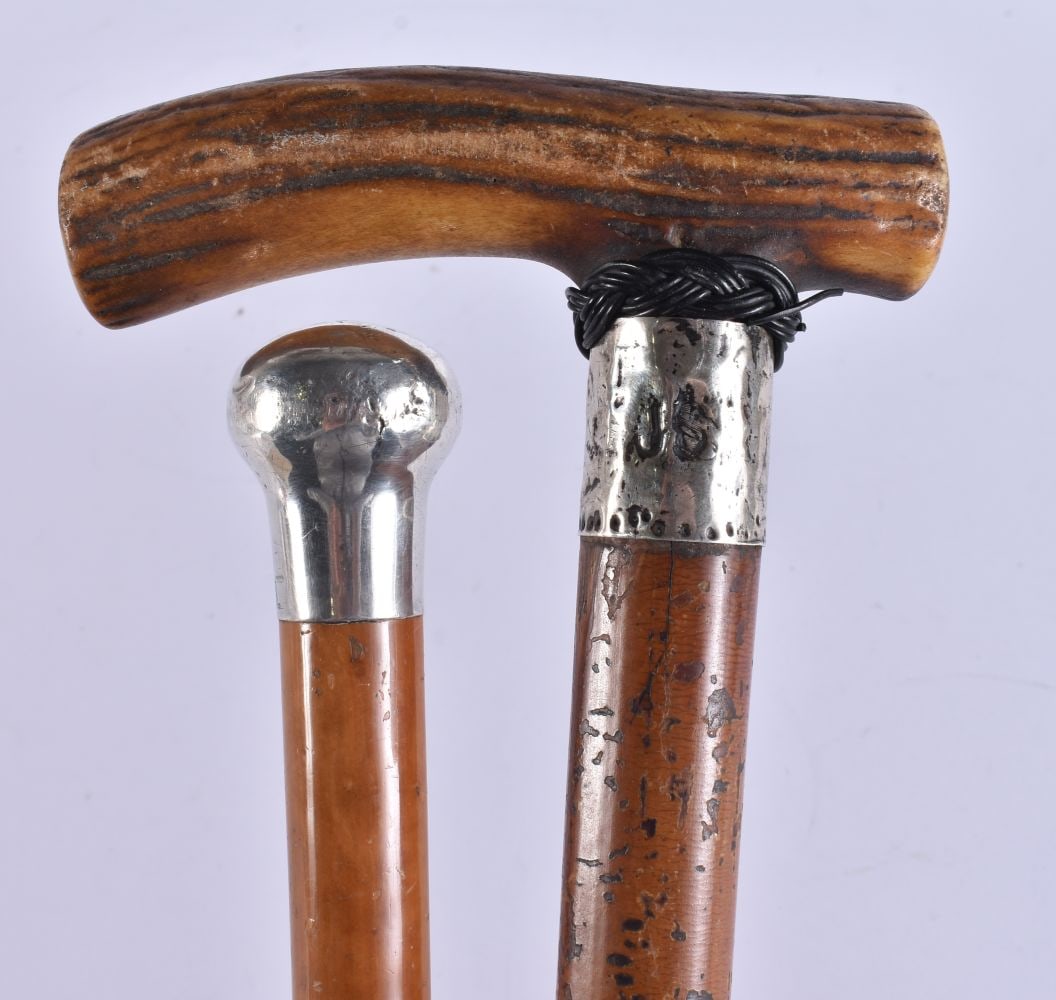 AN ANTIQUE SILVER TOPPED WALKING CANE together with an antler horn cane. 90 cm long. (2) (1 of 9)