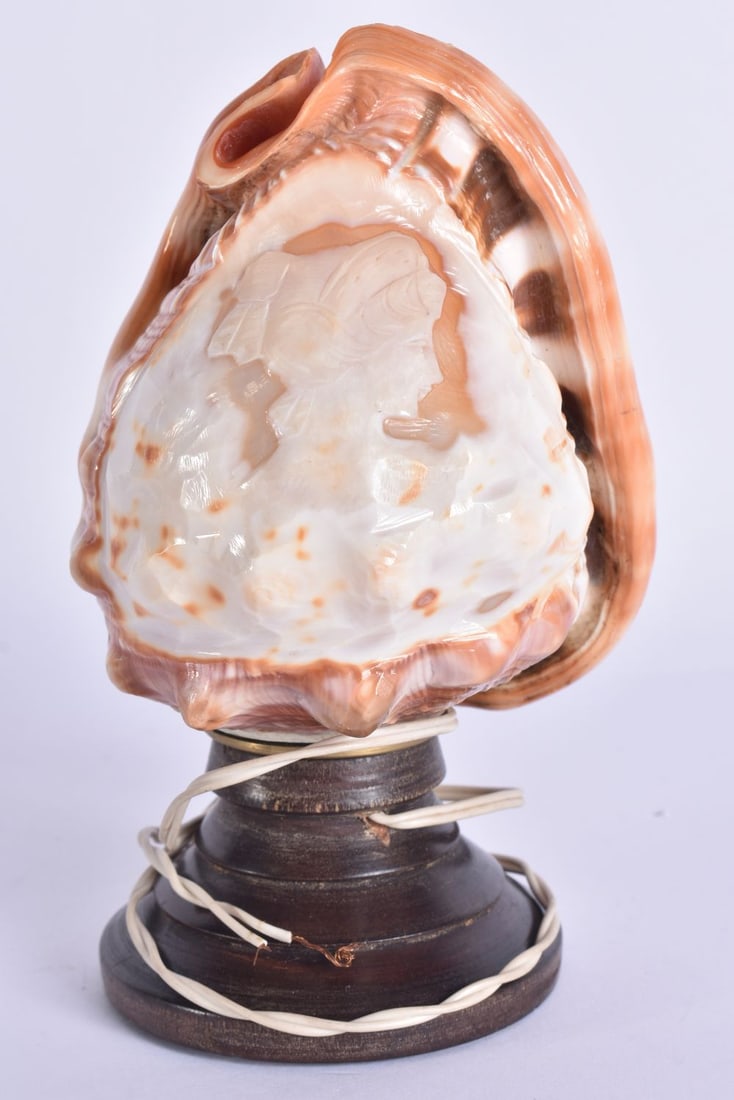 AN ANTIQUE CONCH SHELL LAMP. 15 cm high. (1 of 4)