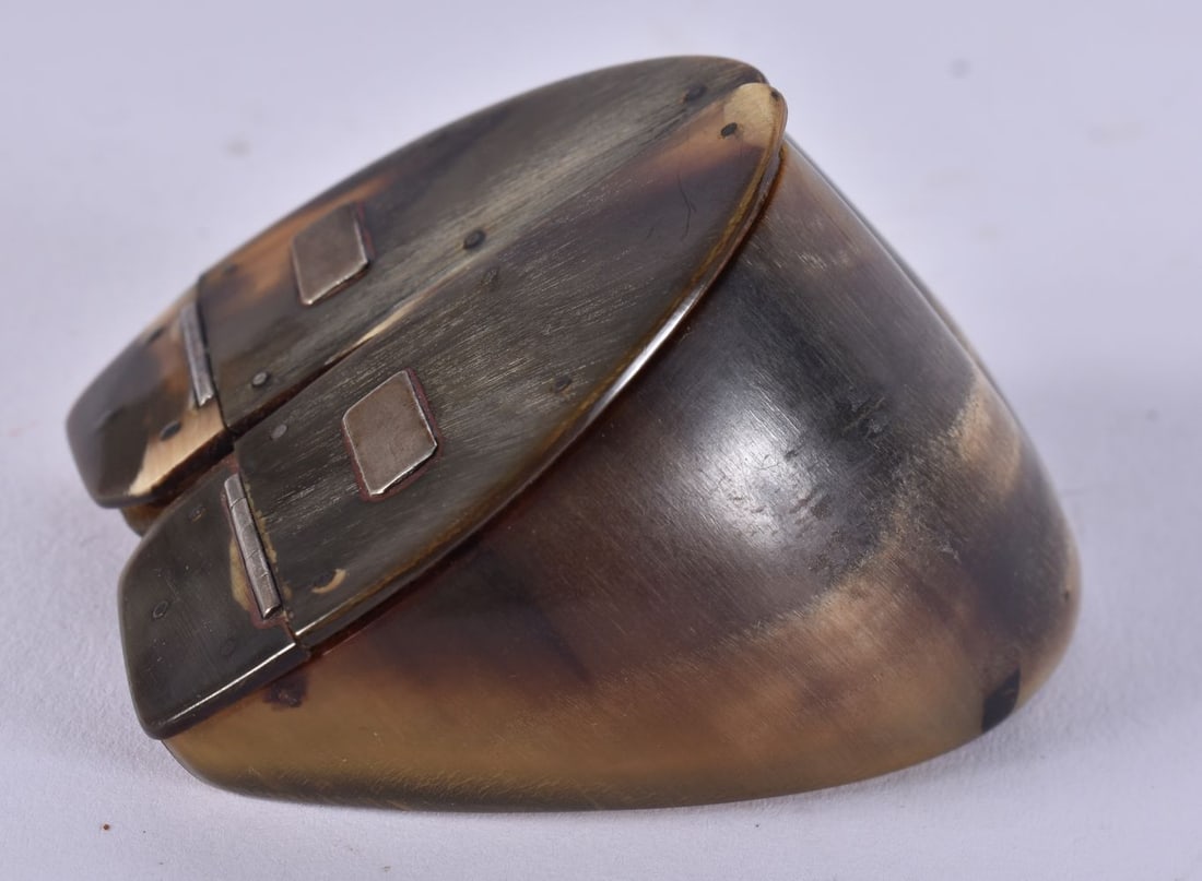 A LOVELY VICTORIAN IRISH CARVED HORN DOUBLE SNUFF BOX inlaid in silver to the base 'Killarney Lakes' (1 of 4)