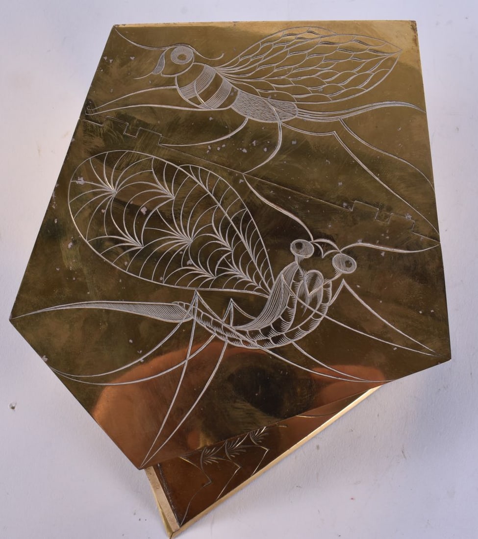 A RARE 19TH CENTURY CHINESE ENGRAVED BRONZE BOX Qing, decorated with insects. 19 cm x 15 cm.: A RARE 19TH CENTURY CHINESE ENGRAVED BRONZE BOX Qing, decorated with insects. 19 cm x 15 cm.