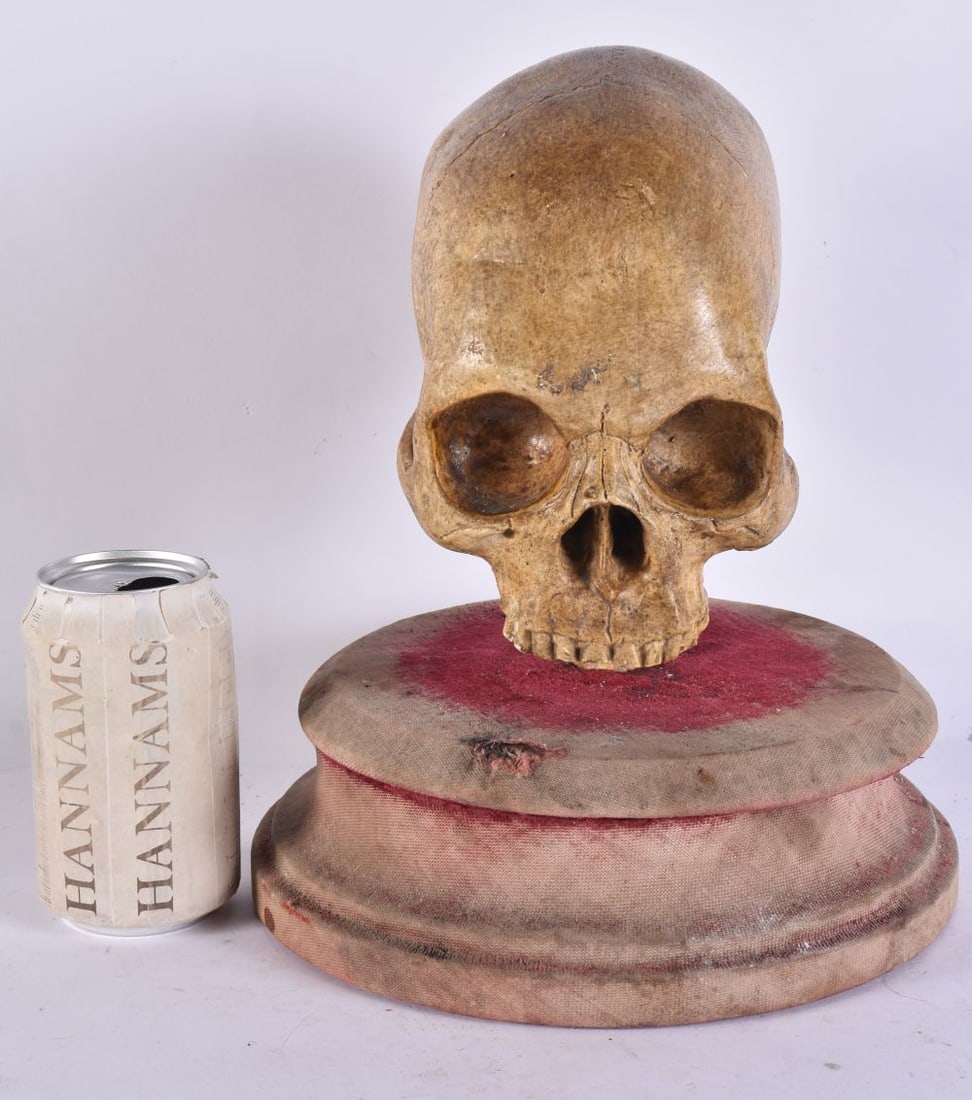 A VICTORIAN/EDWARDIAN MEMENTO MORI SKULL STUDY. 29 cm x 18 cm. (1 of 4)