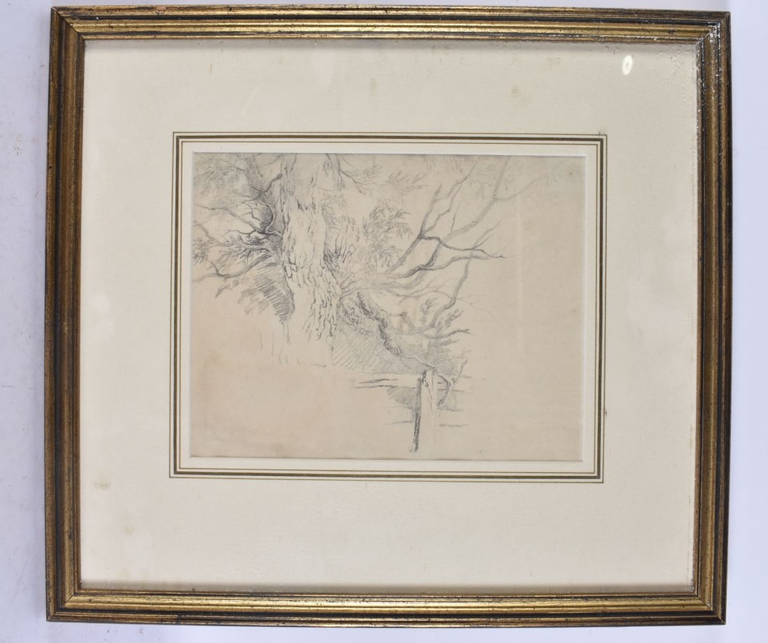 Robert Hills (1769-1844) Pencil drawing, Study of a tree with fencing. 43 cm x 39 cm, image 24 cm x: Robert Hills (1769-1844) Pencil drawing, Study of a tree with fencing. 43 cm x 39 cm, image 24 cm x 19 cm.