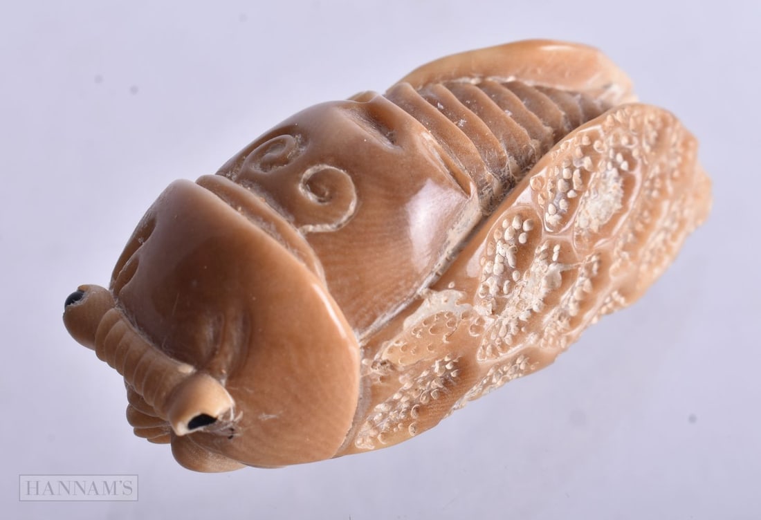 A Carved Nut Cicada Fly Netsuke. 1.8cm x 4.2cm x 2.1cm, weight 8.9g: A Carved Nut Cicada Fly Netsuke. 1.8cm x 4.2cm x 2.1cm, weight 8.9g