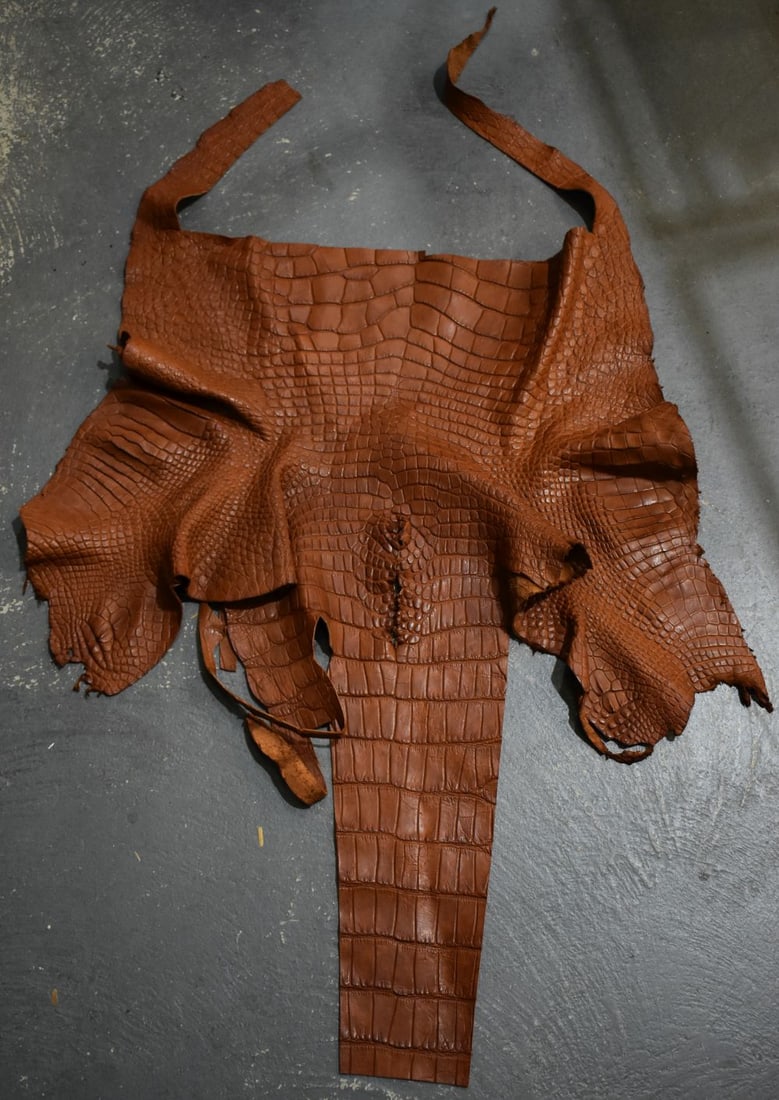 A VINTAGE CROCODILE SKIN. 120 cm x 86 cm. (1 of 5)