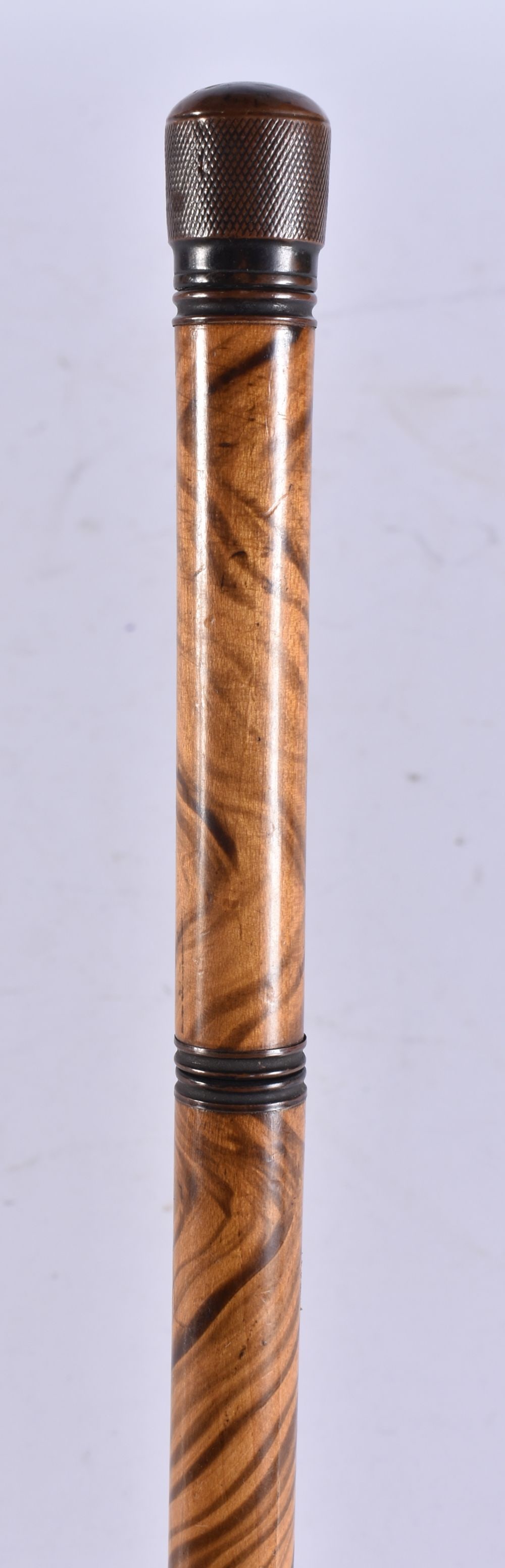 AN UNUSUAL ANTIQUE CONTINENTAL NOVELTY COMBINATION PEN CANE. 90 cm long. (1 of 4)