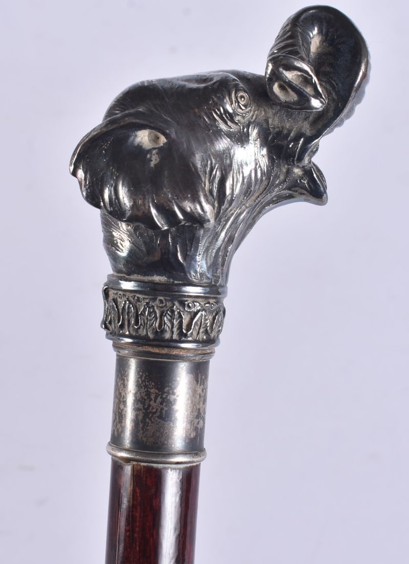 A CONTINENTAL SILVER MOUNTED ELEPHANT WALKING CANE. 90 cm long.: A CONTINENTAL SILVER MOUNTED ELEPHANT WALKING CANE. 90 cm long.