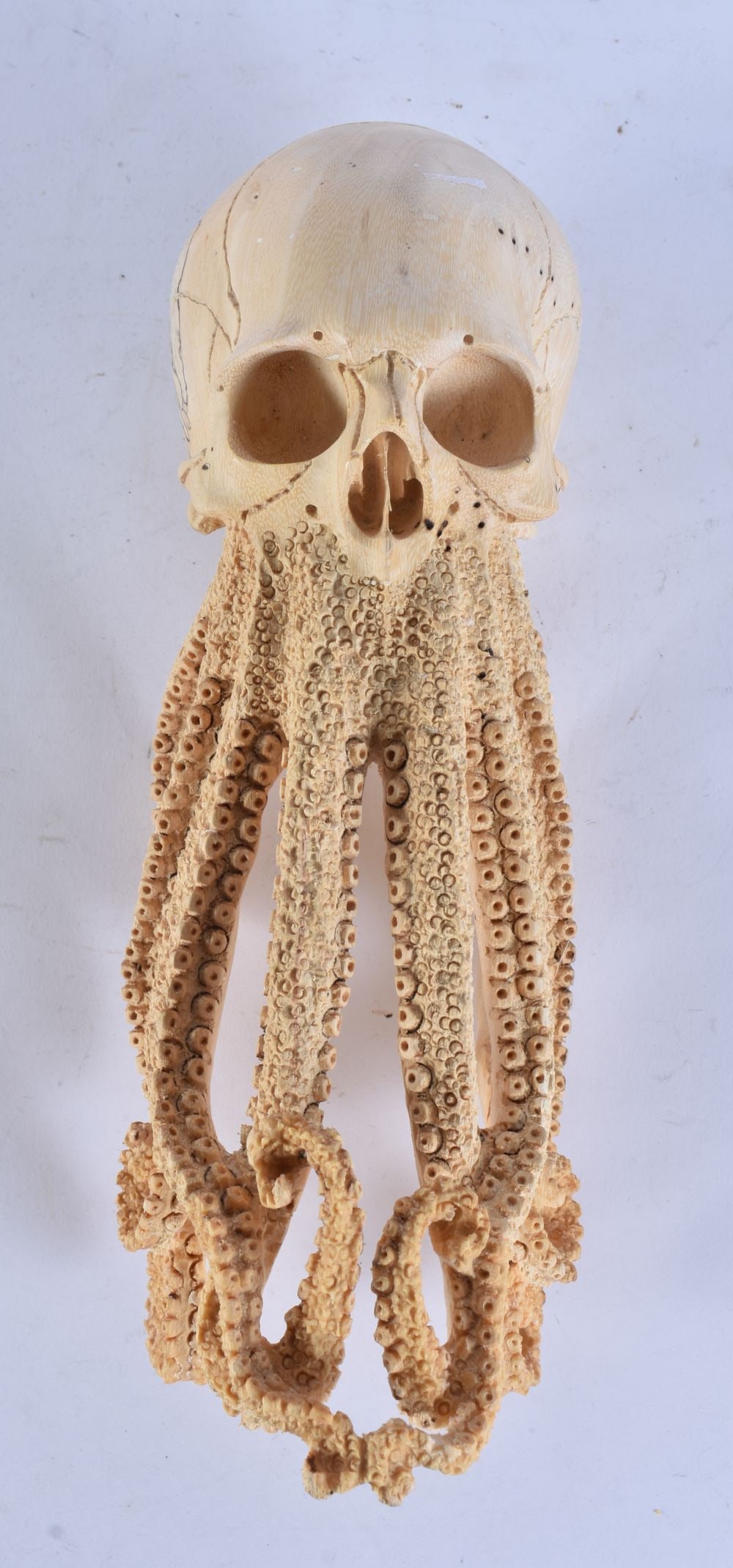 A MEMENTO MORI CARVED WOOD OCTOPUS SKULL. 24 cm long. (1 of 4)