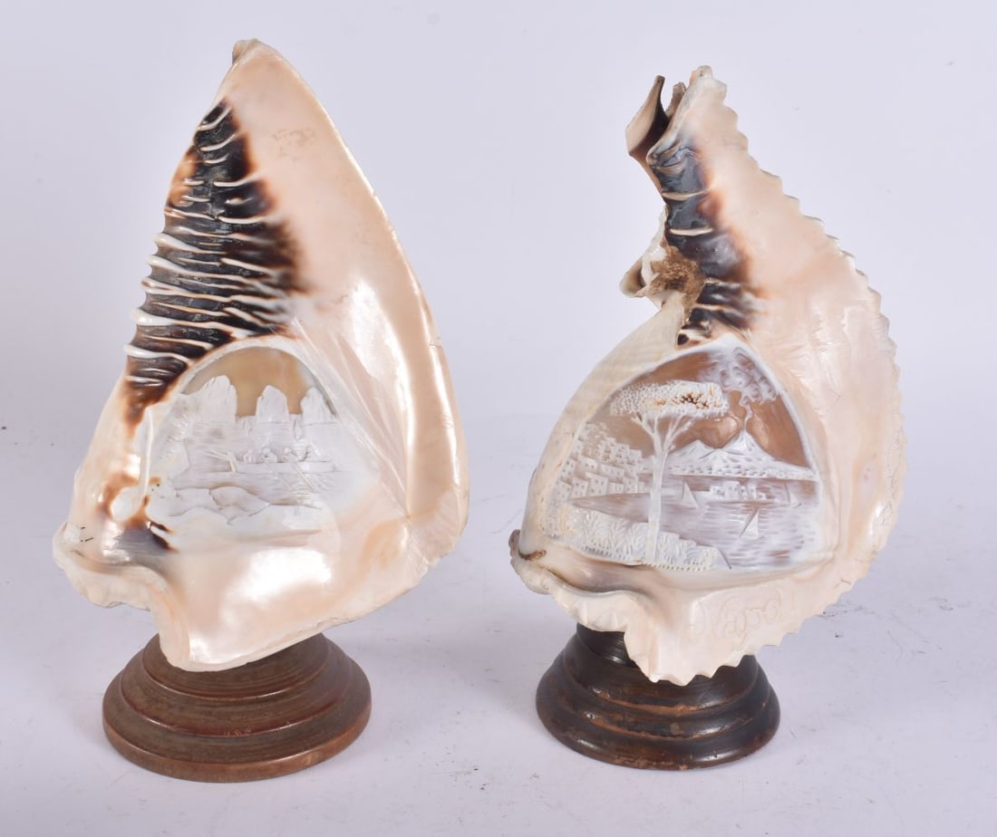 A PAIR OF ANTIQUE ITALIAN CONCH SHELL CAMEOS. 22.5 cm high.: A PAIR OF ANTIQUE ITALIAN CONCH SHELL CAMEOS. 22.5 cm high.