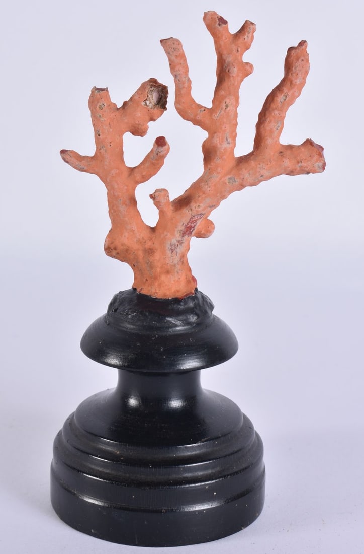 AN UNUSUAL CORAL SPECIMEN possibly Naples. 15 cm high.: AN UNUSUAL CORAL SPECIMEN possibly Naples. 15 cm high.
