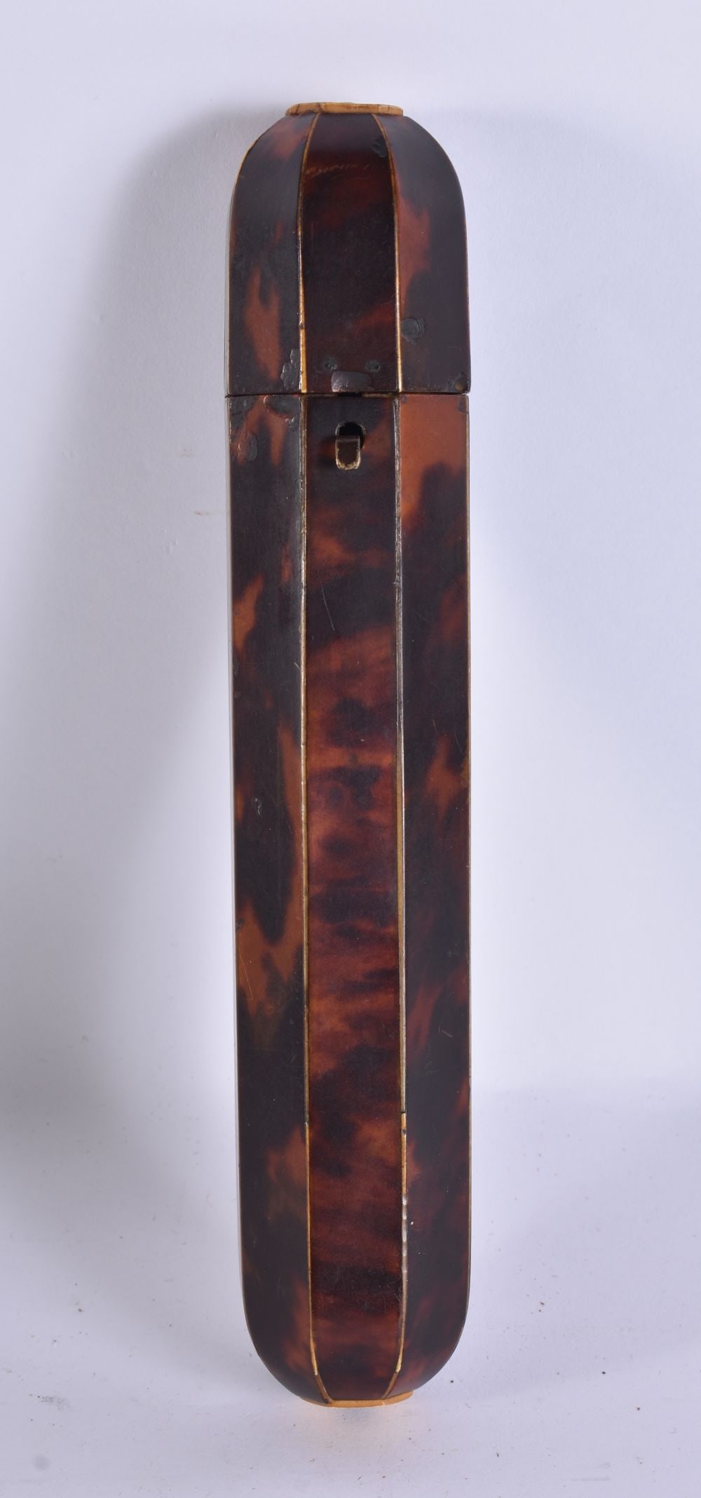AN UNUSUAL REGENCY TORTOISESHELL CIGAR CASE. 19 cm long. (1 of 4)