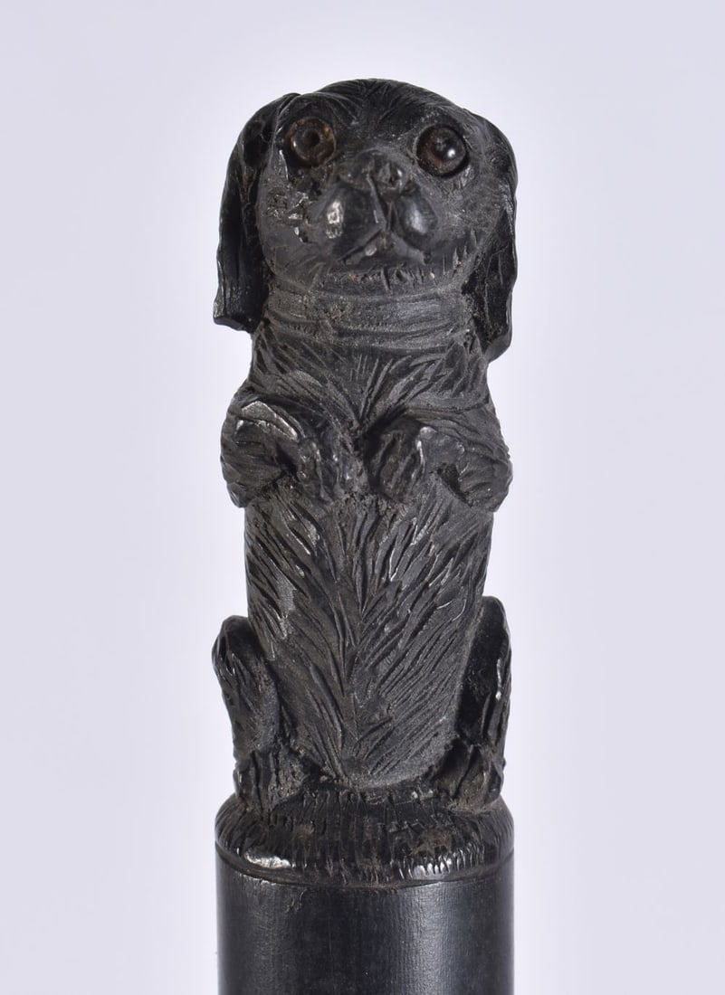 AN ANTIQUE DOG MOUNTED HANDLE. 29 cm long. (1 of 6)
