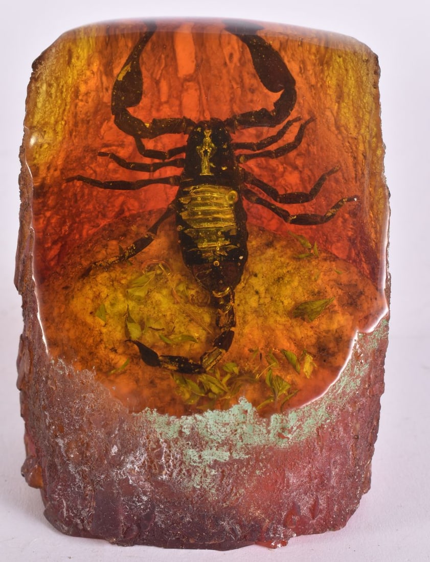 A NATURAL BUG SCULPTURE. 12 cm x 7 cm.: A NATURAL BUG SCULPTURE. 12 cm x 7 cm.