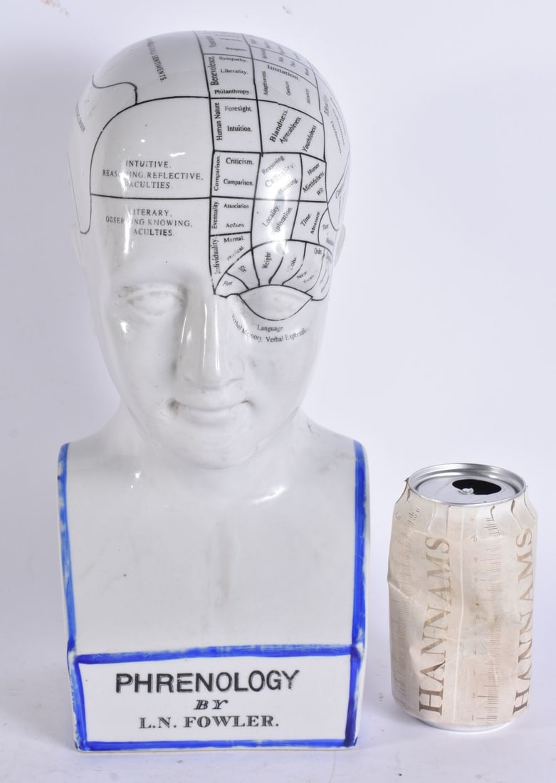 A PHRENOLOGY CERAMIC BUST. 32 cm x 14 cm.: A PHRENOLOGY CERAMIC BUST. 32 cm x 14 cm.