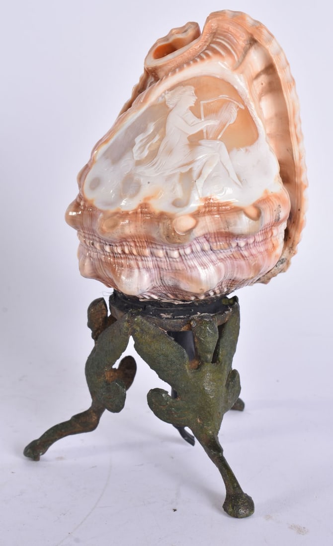 AN ANTIQUE ITALIAN CONCH SHELL. 19 cm high. (1 of 5)