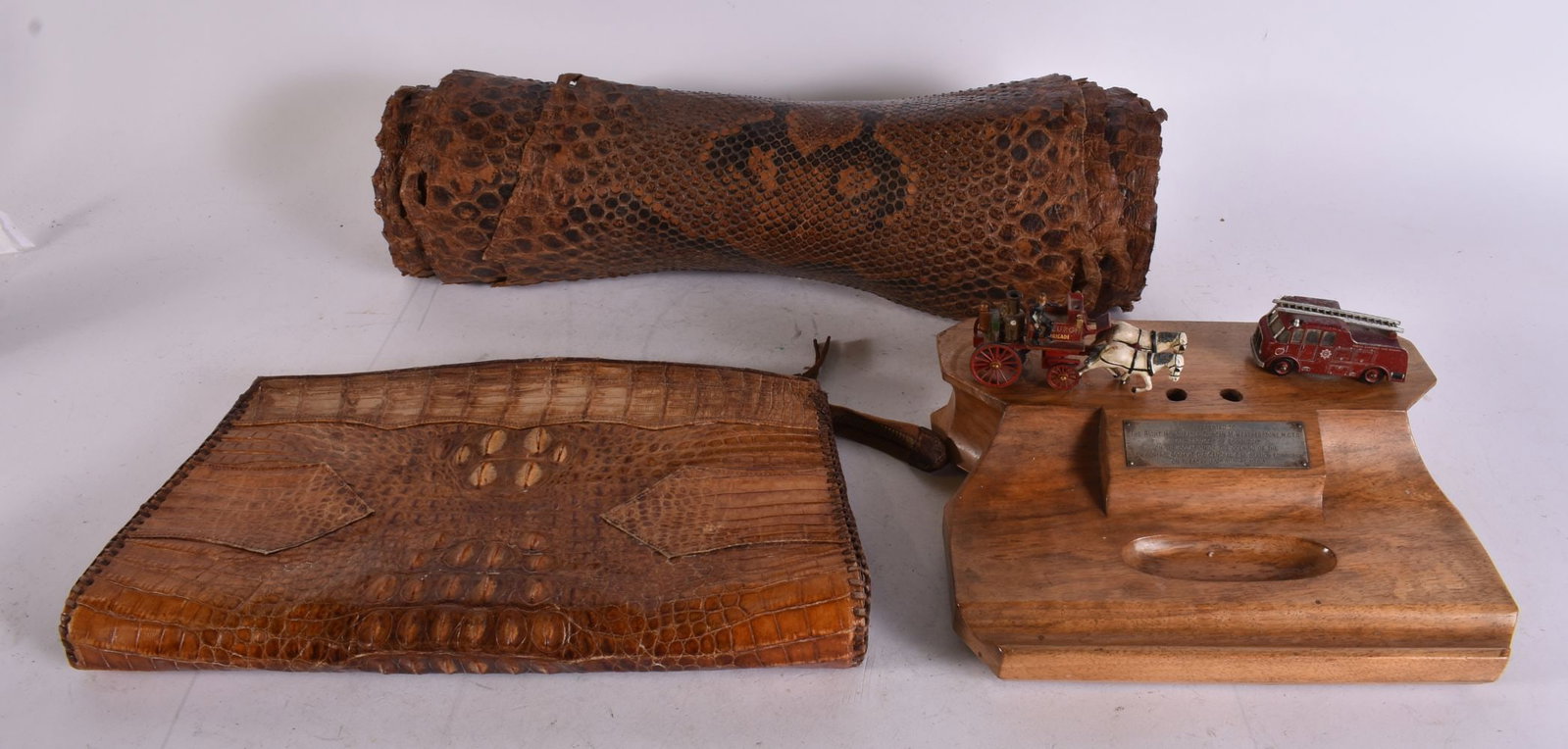 A TAXIDERMY SKIN etc. (3) (1 of 5)