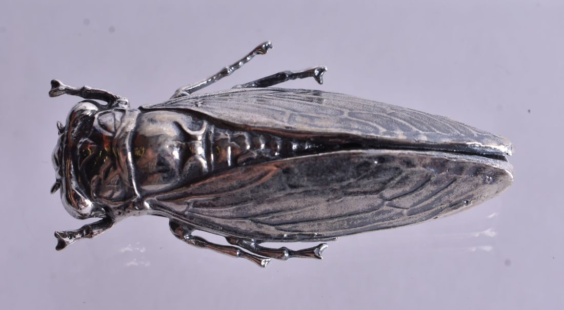 A Silver Scarab Brooch. Stamped Sterling. 4.6cm x 2.2cm x 1cm, weight 14.9g: A Silver Scarab Brooch. Stamped Sterling. 4.6cm x 2.2cm x 1cm, weight 14.9g