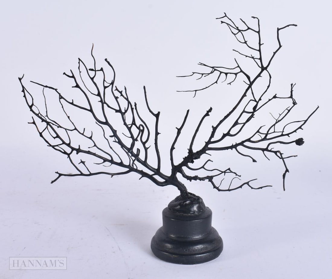 A BLACK CORAL SPECIMEN. 18 cm x 16 cm. (1 of 3)
