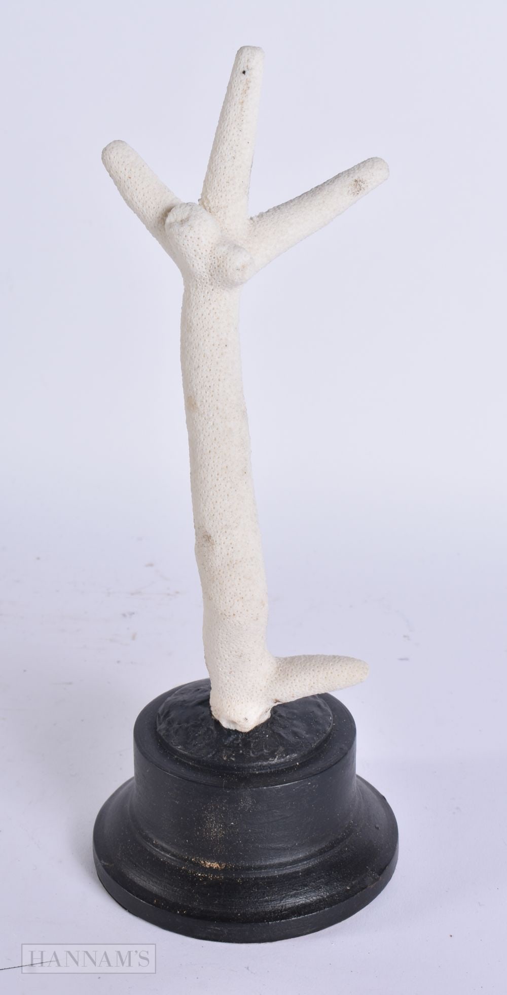 A CORAL WHITE BRANCH SPECIMEN. 26 cm high. (1 of 3)