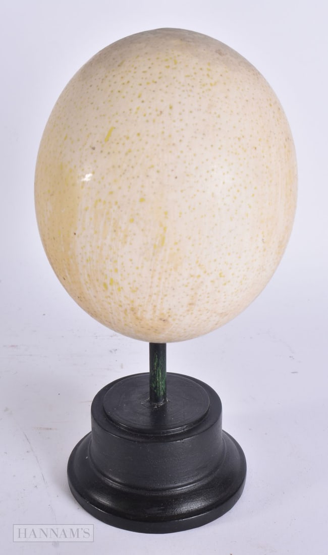 AN OSTRICH EGG SPECIMEN. 25 cm high. (1 of 4)