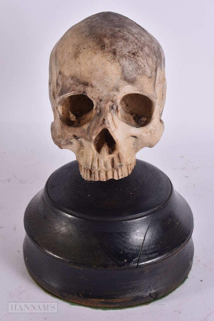 A FAUX HUMAN SKULL PROP. 25.5 cm high. (1 of 5)