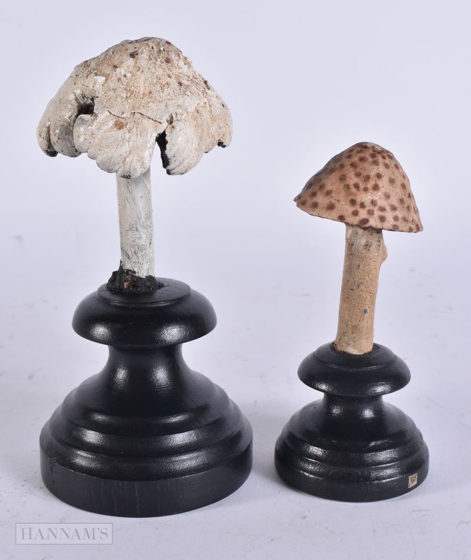 TWO FOLK ART CARVED WOOD MUSHROOM SPECIMENS. Largest 16 cm high. (2) (1 of 4)