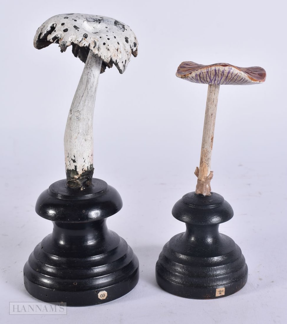 TWO FOLK ART CARVED WOOD MUSHROOM SPECIMENS. Largest 16 cm high. (2) (1 of 4)