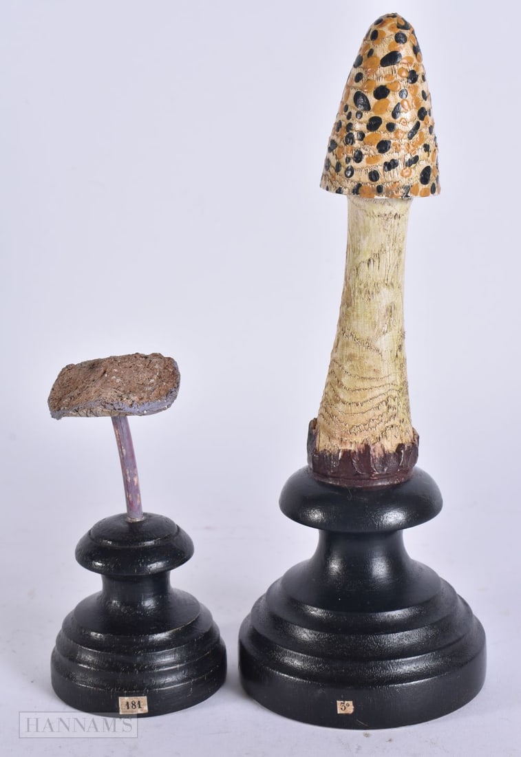 TWO FOLK ART CARVED WOOD MUSHROOM SPECIMENS. Largest 20 cm high. (2) (1 of 4)