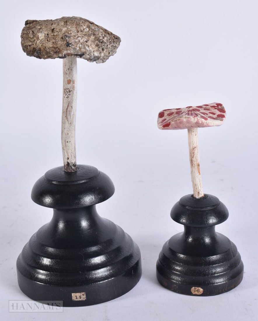 TWO FOLK ART CARVED WOOD MUSHROOM SPECIMENS. Largest 16 cm high. (2) (1 of 4)