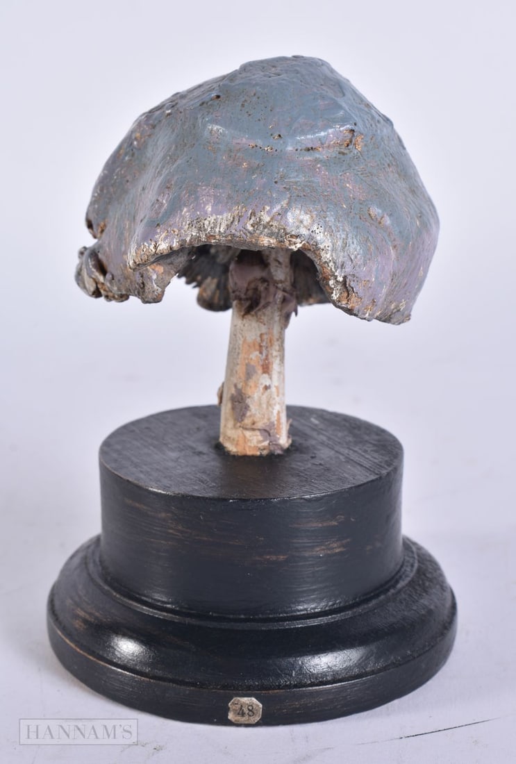 A FOLK ART CARVED WOOD MUSHROOM SPECIMEN. 13 cm high. (1 of 4)