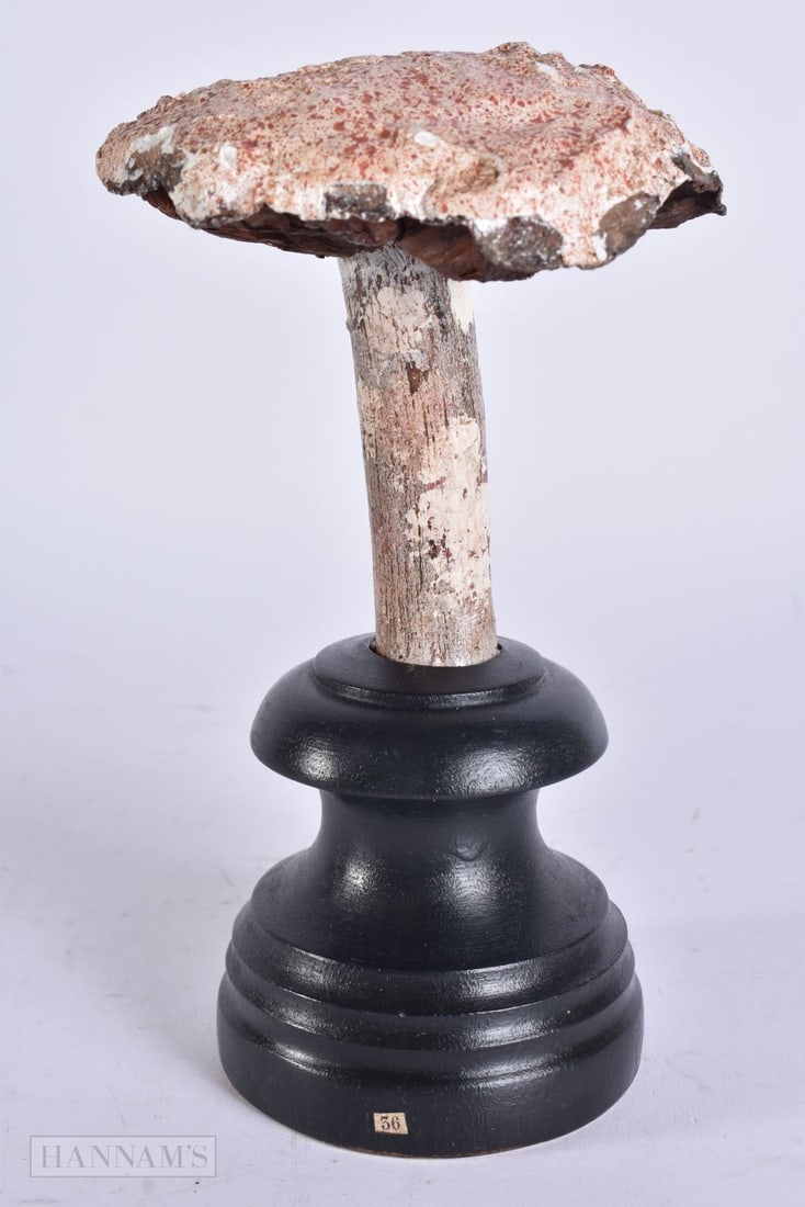 A FOLK ART CARVED WOOD MUSHROOM SPECIMEN. 18 cm high. (1 of 4)