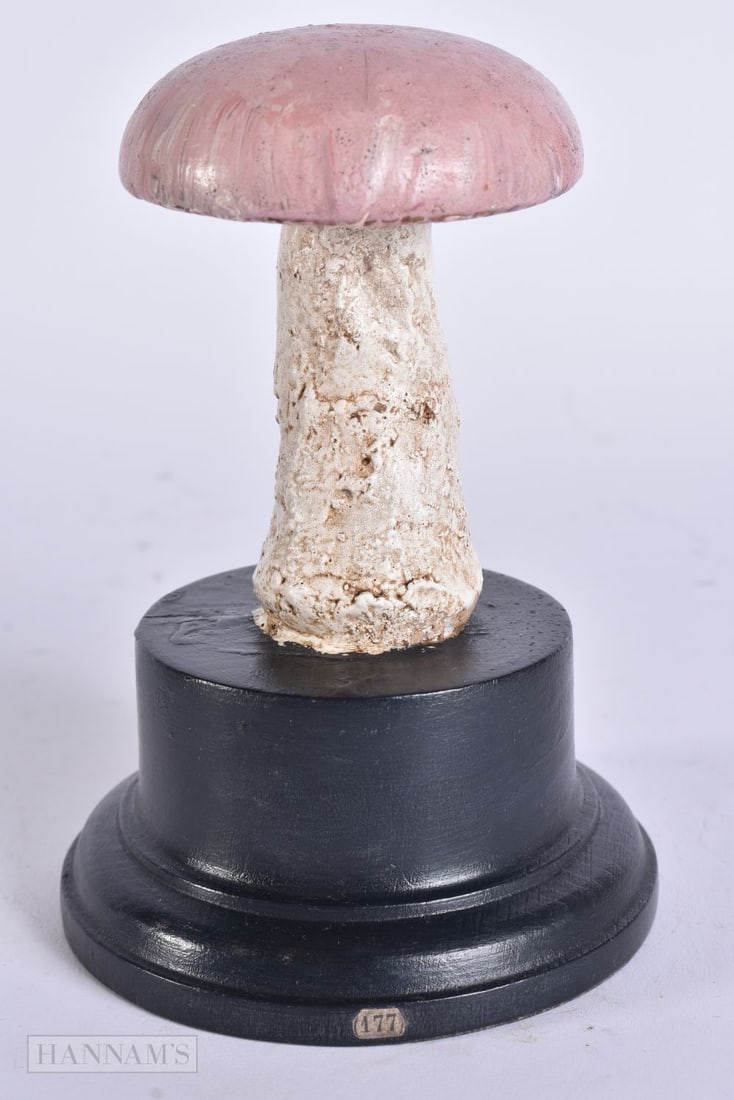 A FOLK ART CARVED WOOD MUSHROOM SPECIMEN. 13 cm high.: A FOLK ART CARVED WOOD MUSHROOM SPECIMEN. 13 cm high.