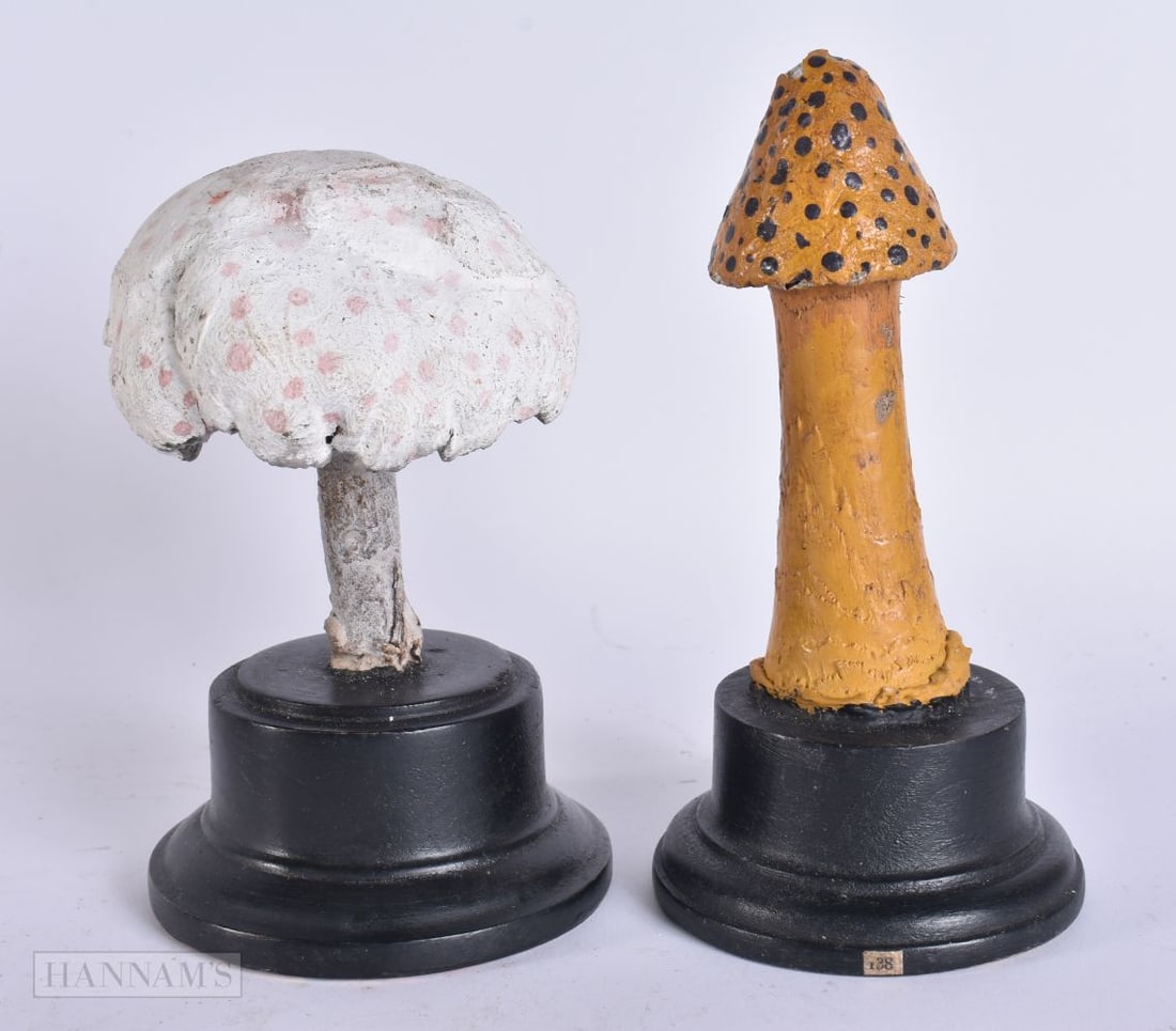 TWO FOLK ART CARVED WOOD MUSHROOM SPECIMENS. 15 cm high. (2) (1 of 4)