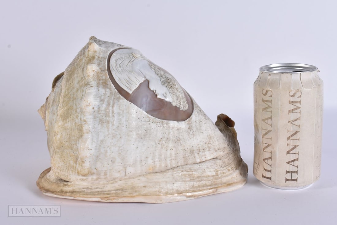 A FINE LARGE 19TH CENTURY GRAND TOUR CARVED CAMEO CONCH SHELL. 21 cm x 15.5 cm. (1 of 9)