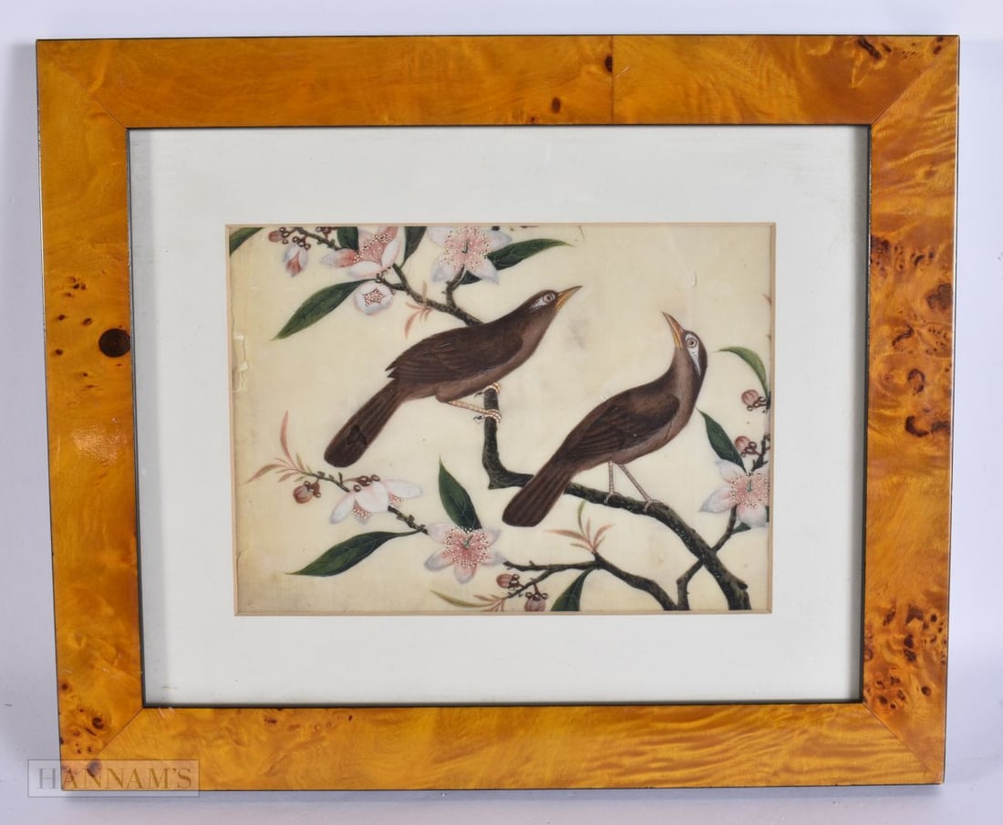 Chinese School (19th Century) Pith paper, Watercolour, Birds in branches. 30cm x 24 cm, image 18 cm (1 of 3)
