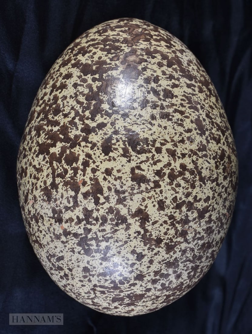 AN UNUSUALLY LARGE 19TH CENTURY ENGLISH POTTERY DINOSAUR EGG possibly Macintyre. 12.5 cm x 8 cm.: AN UNUSUALLY LARGE 19TH CENTURY ENGLISH POTTERY DINOSAUR EGG possibly Macintyre. 12.5 cm x 8 cm.