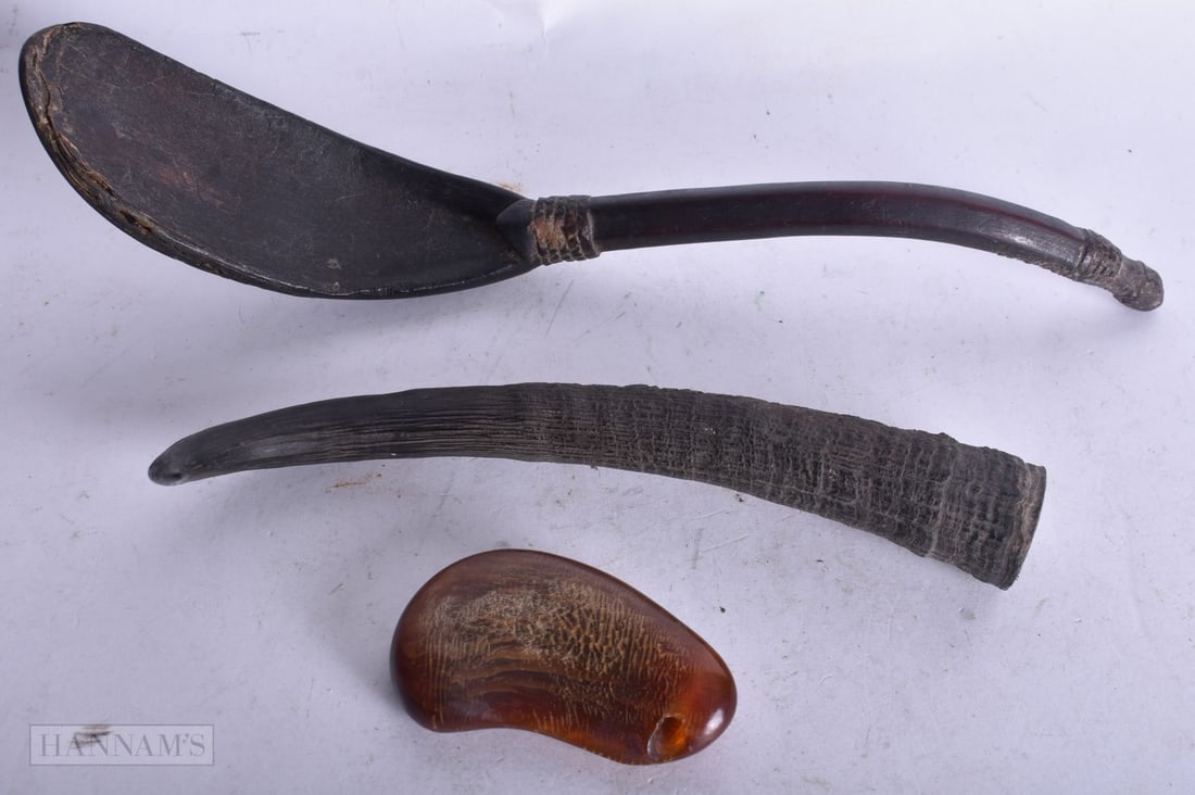 A HORN SPOON etc. 24 x 4 cm. (3) (1 of 2)