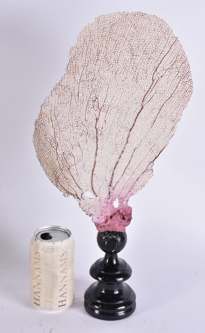 A CORAL FAN SHAPED SPECIMEN. 42 cm high.: A CORAL FAN SHAPED SPECIMEN. 42 cm high.