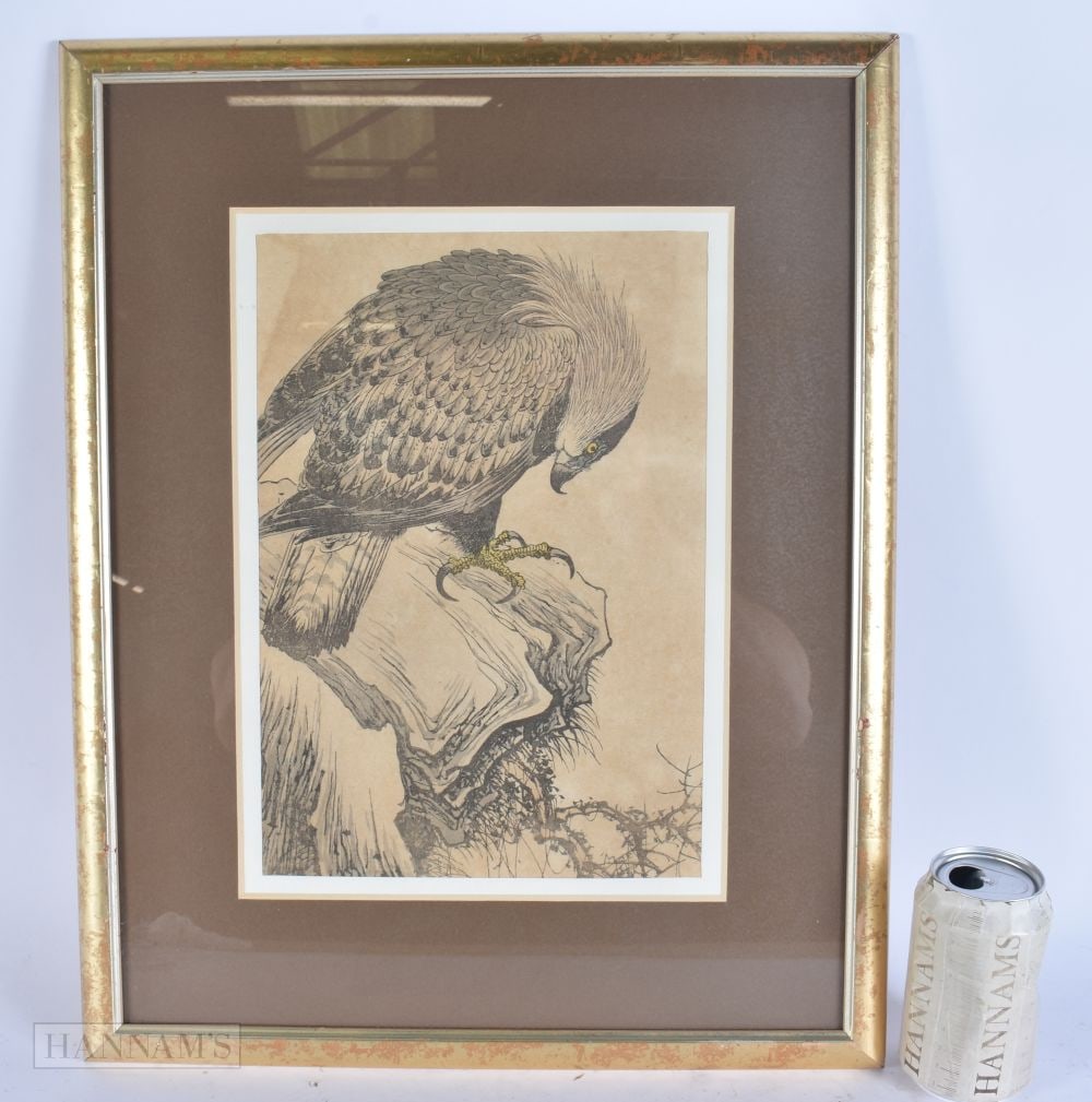 A 19TH CENTURY JAPANESE MEIJI PERIOD WOODBLOCK HAWK PRINT. 52 cm x 36 cm, image 30cm x 22cm.: A 19TH CENTURY JAPANESE MEIJI PERIOD WOODBLOCK HAWK PRINT. 52 cm x 36 cm, image 30cm x 22cm.