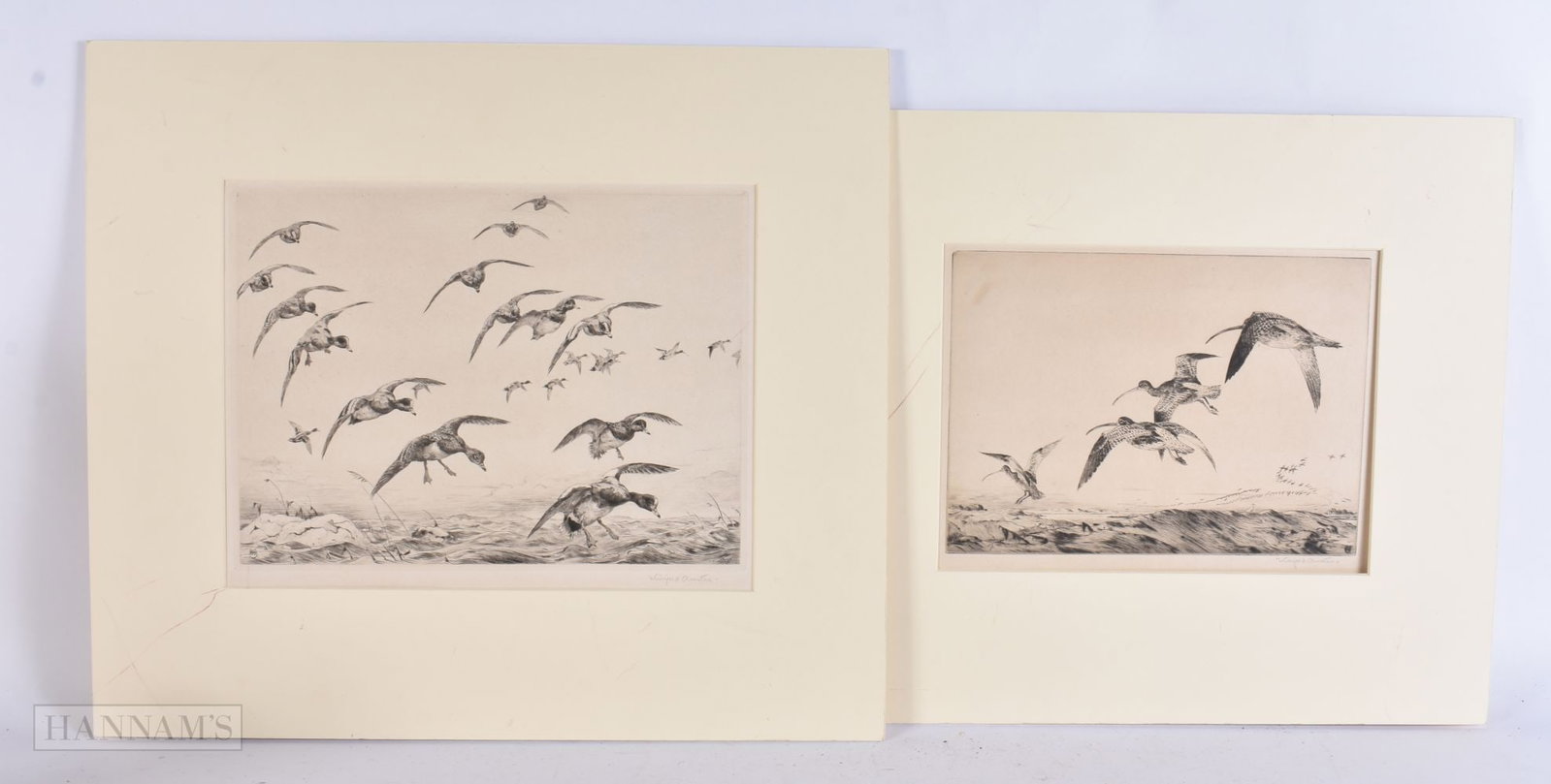 Winifred Marie Louise Austen (1876-1964) 2 x Etchings, Birds in flight. Largest 48 cm x 38 cm, image (1 of 4)