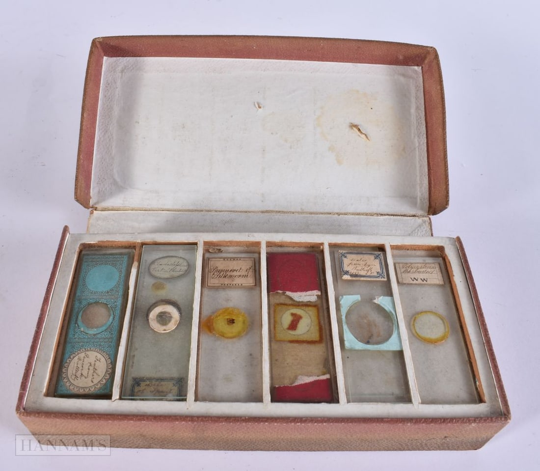 Antique Microscope Slides W/ Box And Specimens. Box 21 cm x 10 cm. (1 of 5)