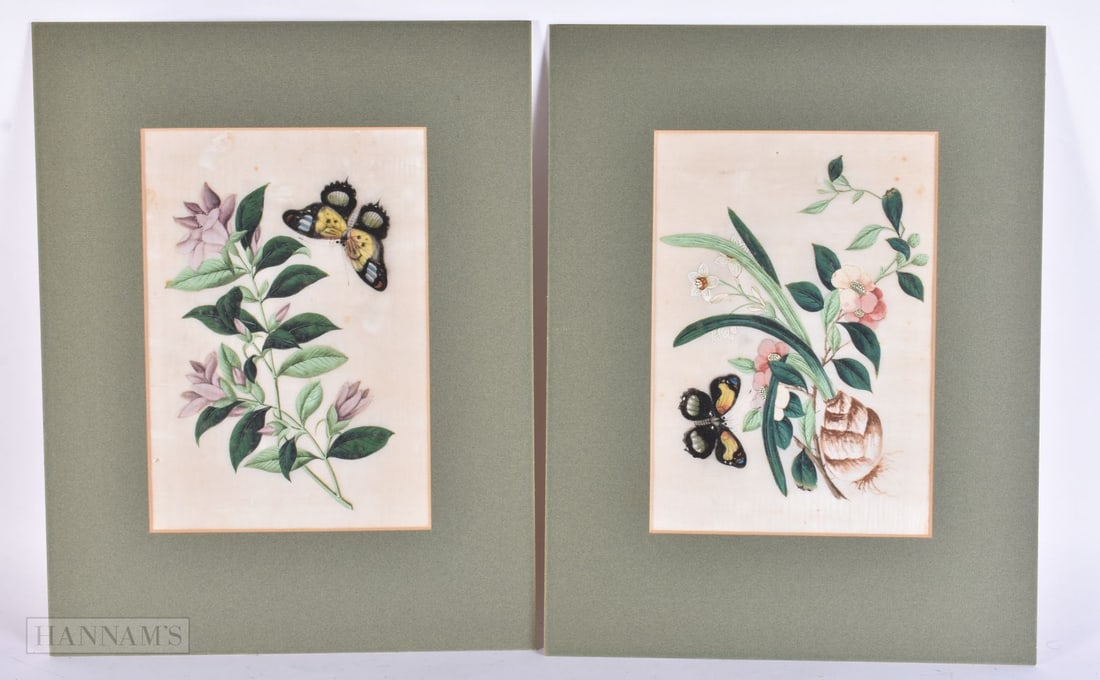 Chinese School (19th Century) Pair, Watercolour piths, Butterflies and foliage. 38 cm x 28 cm, image (1 of 10)