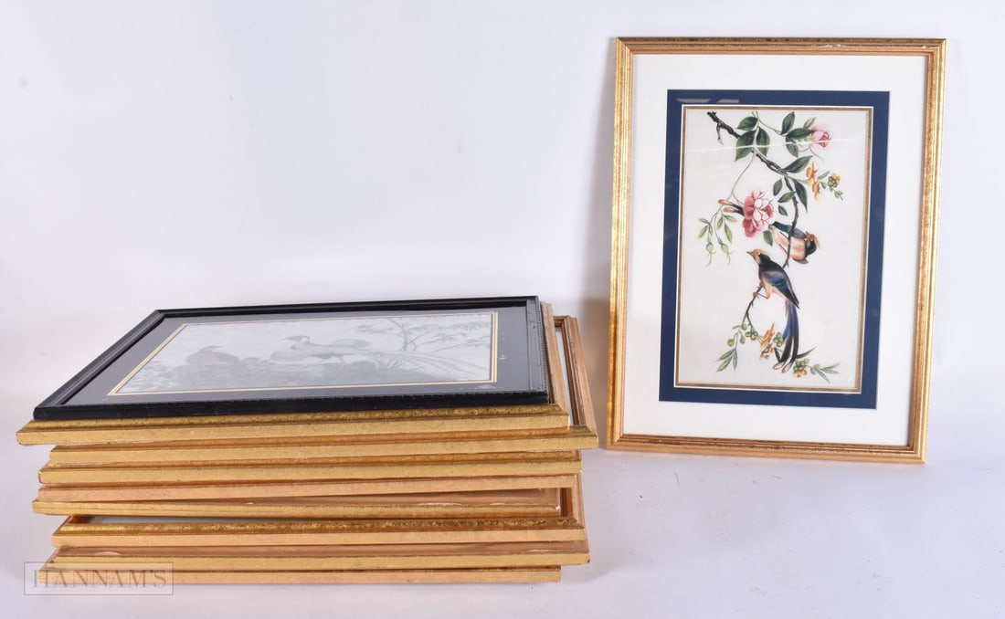 Chinese School (19th Century) 10 x Pith Watercolours, Birds within landscapes. 40 cm x 30 cm. (10) (1 of 12)