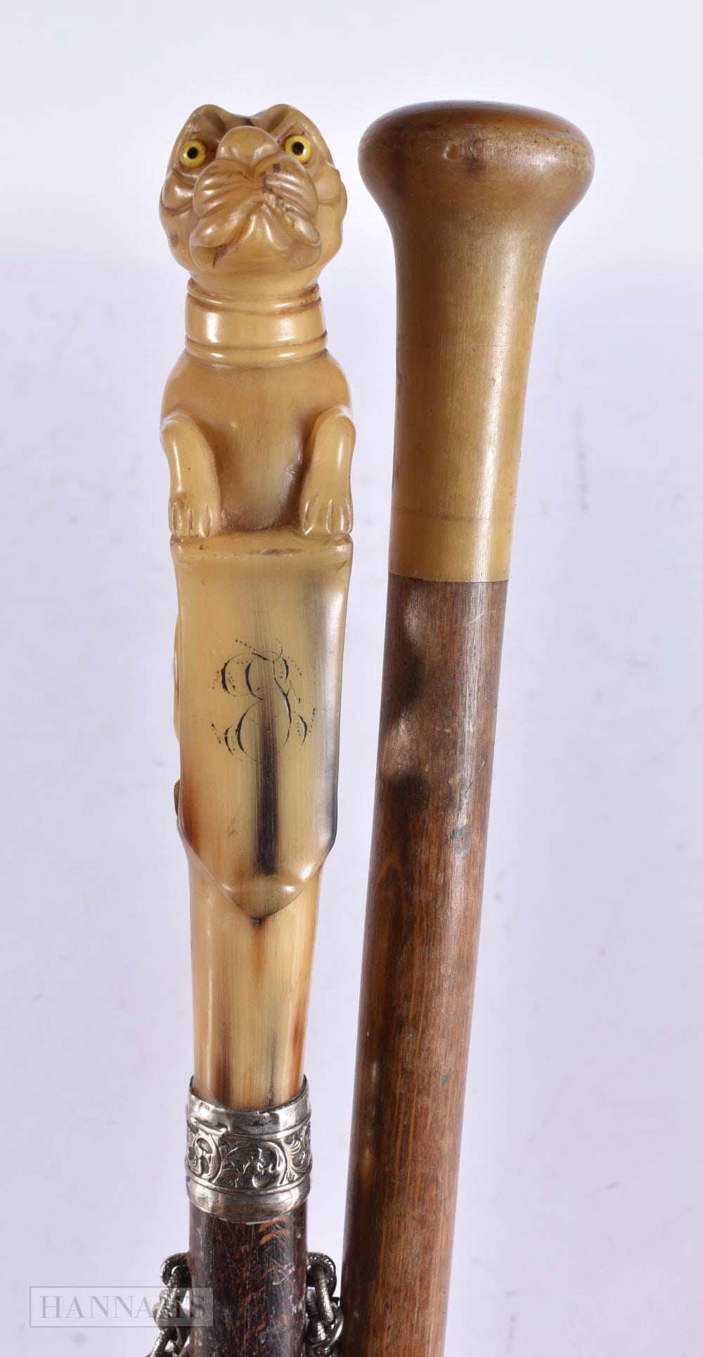 A RARE 19TH CENTURY CARVED HORN 'GUARD DOG' WALKING CANE with attached white metal collar, together: A RARE 19TH CENTURY CARVED HORN 'GUARD DOG' WALKING CANE with attached white metal collar, together with another horn cane. 90 cm long. (2)