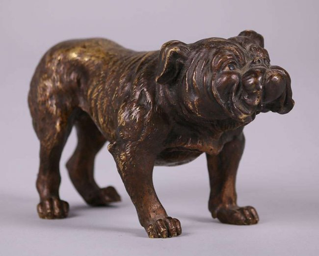 Austrian Bronze Bull Dog c1910 (1 of 4)