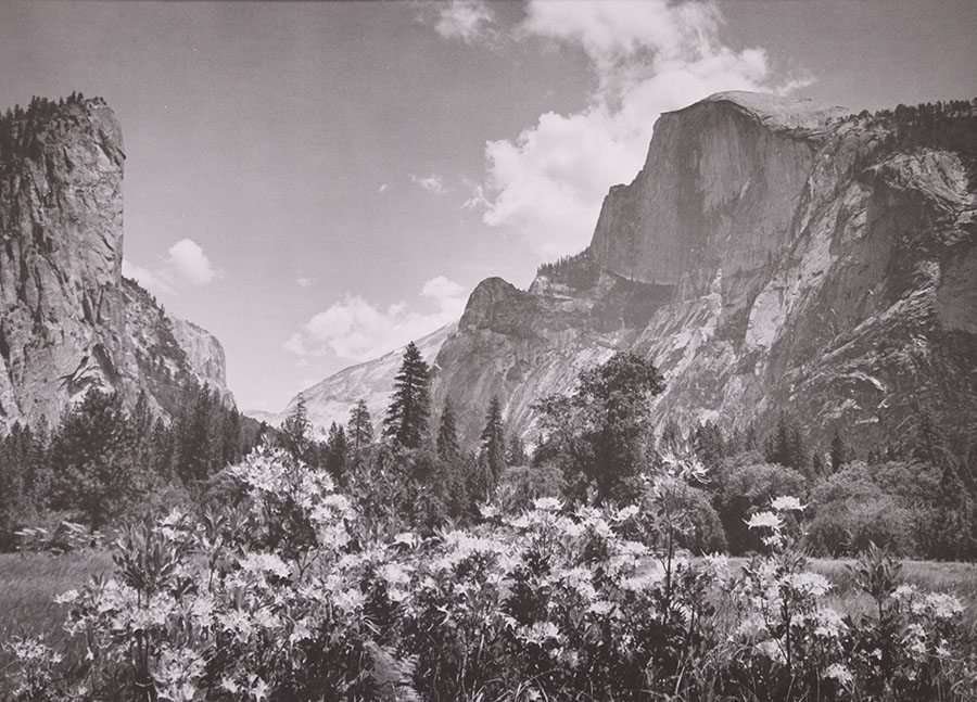 Vintage Photo of Yosemite's Half Dome c1920s (1 of 3)