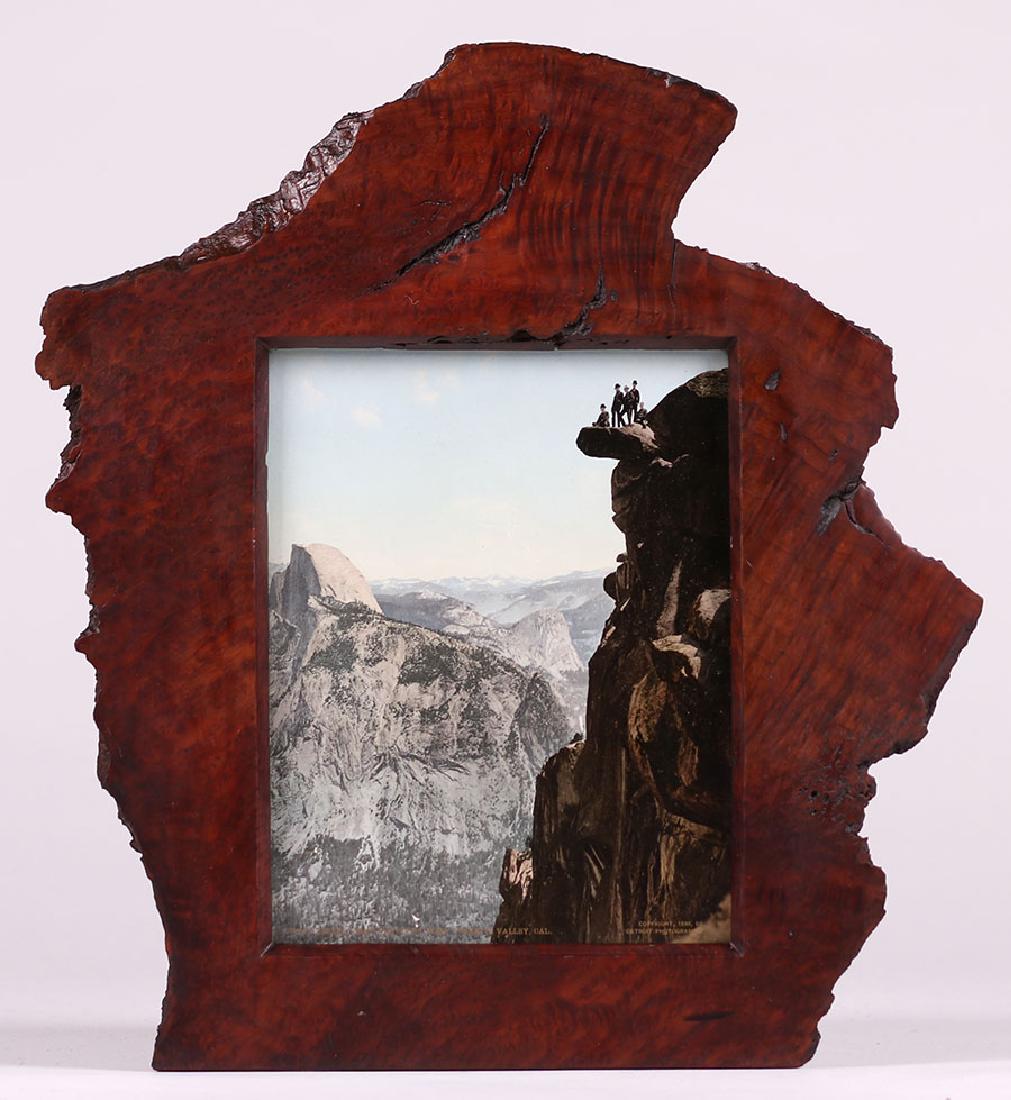 Detroit Photographic Co Antique Hand-tinted Photo (1 of 3)