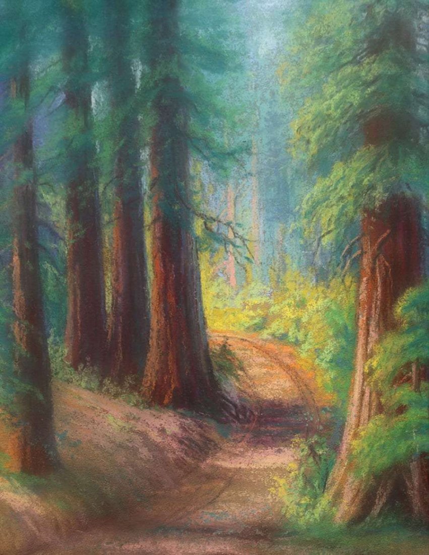 Pastel California Redwood Trees c1915 (1 of 3)