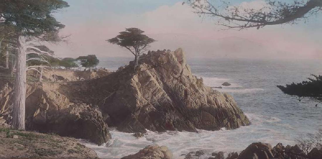 Large Vintage Hand-Tinted Photo Lone Cypress Monterey, (1 of 3)