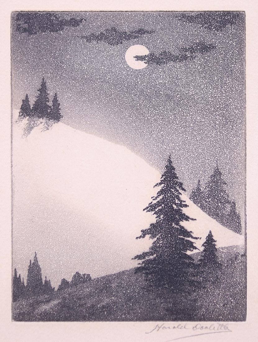 Harold Doolittle Etching Moonlit Pine Trees c1930 (1 of 3)