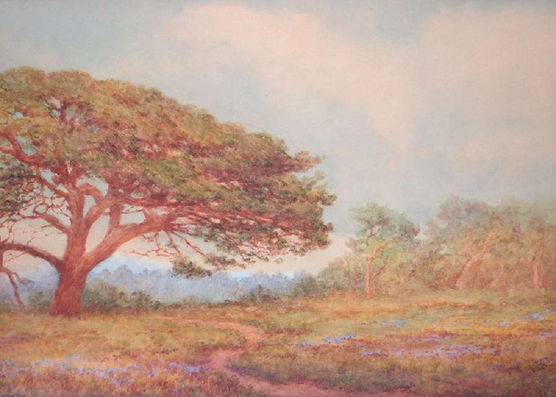 Xavier Martinez Watercolor Oak Tree & Lupine c1905 (1 of 3)